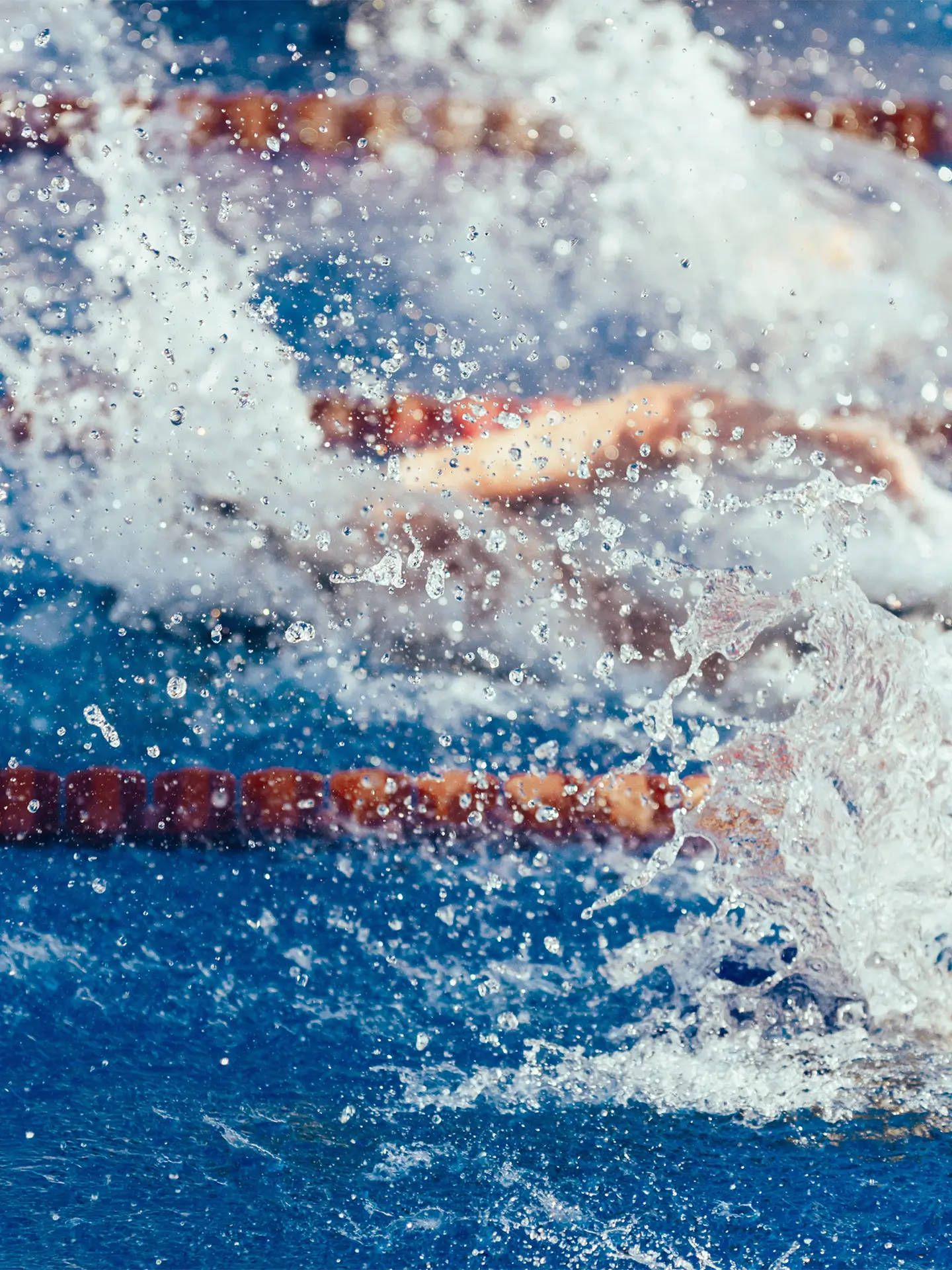 Schwimmer im Schwimmbecken