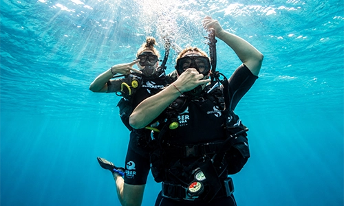 Taucher trainieren gemeinsam im Wasser