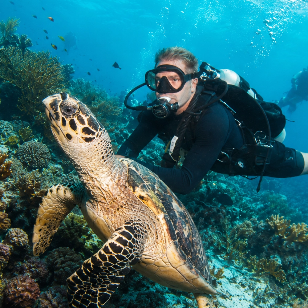 Mann der neben einer Schildkröte taucht